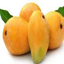 EAST INDIAN MANGO