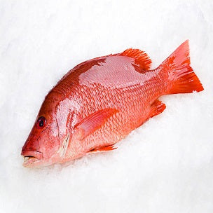 FROZEN WHOLE RED SNAPPER 10LBS