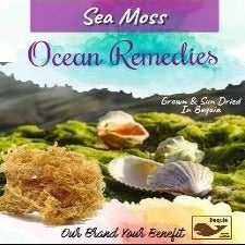 OCEAN REMEDIES SEA MOSS